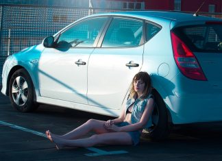 Preventing Vehicle Theft