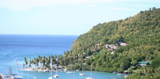 Requirements for Canadians with offshore property and income