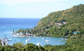 Requirements for Canadians with offshore property and income