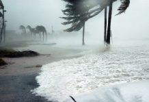 Hurricane Season Travel Tips