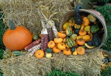 Growing More Local Food Opportunities