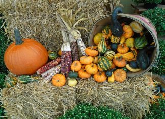 Growing More Local Food Opportunities