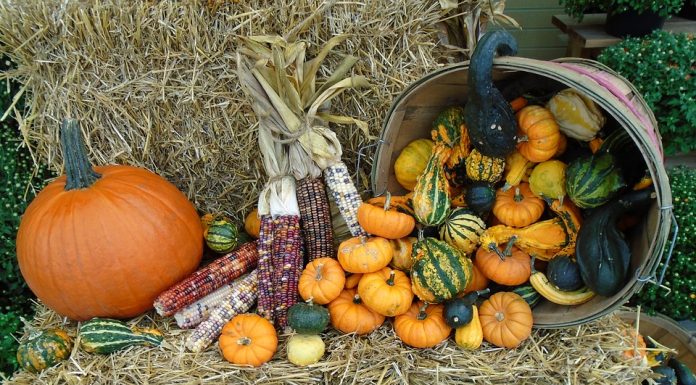 Growing More Local Food Opportunities Growing More Local Food Opportunities