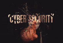 2013 Norton Report: Cost per Cybercrime Victim Up 50 Percent