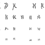 genome
