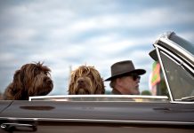 Safety Driving for Seniors