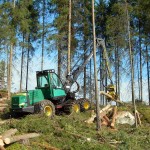 Forestry