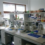 Lab