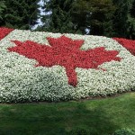 canada-flowers