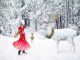 Ontario’s Provincial Parks Offer Lots of Choices for Winter Fun