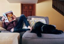 Can a landlord evict a tenant for having a pet?