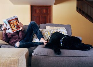 Can a landlord evict a tenant for having a pet?