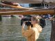 Media Arts Grants – Canada Council for the Arts Grants Media Arts Grants - Canada Council for the Arts Grants