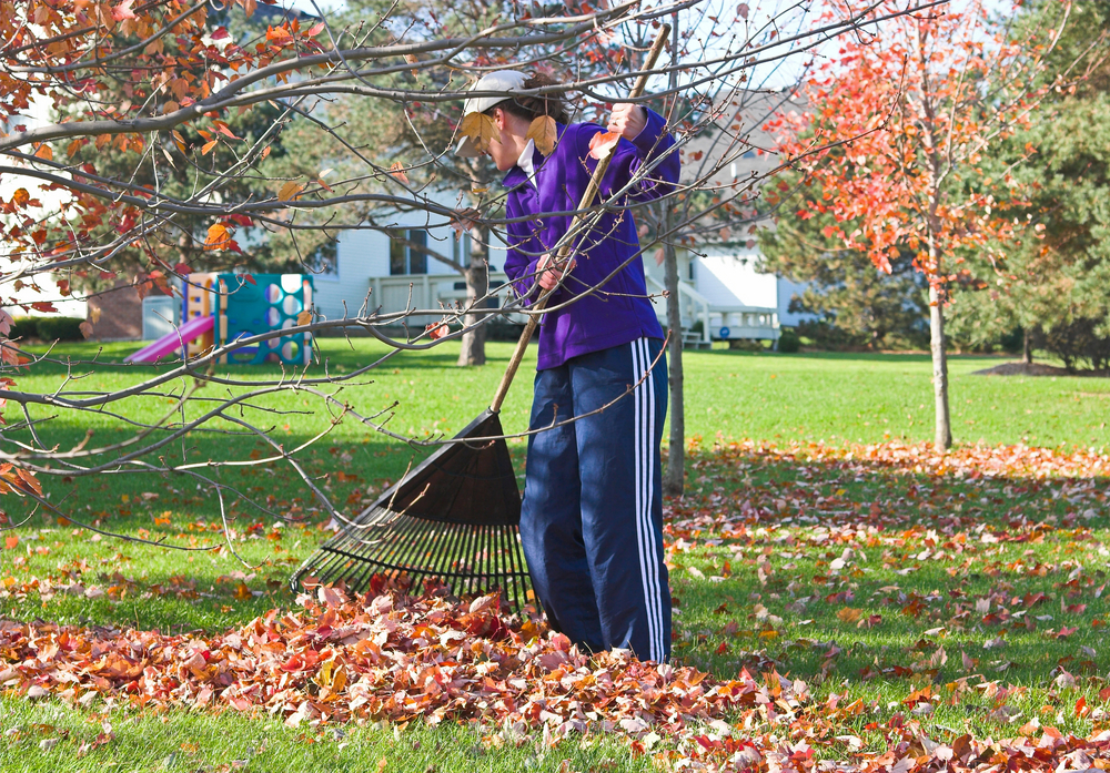 How to Prepare Your Trees for Winter AllOntario