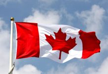 Cannabis-impaired driving can affect your immigration status