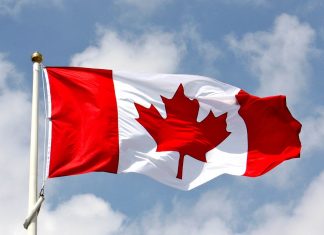 Cannabis-impaired driving can affect your immigration status
