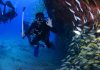 Scuba Diving Liveaboard Vacations