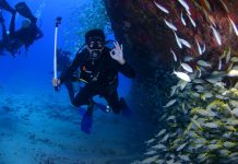 Scuba Diving Liveaboard Vacations Scuba Diving Liveaboard Vacations