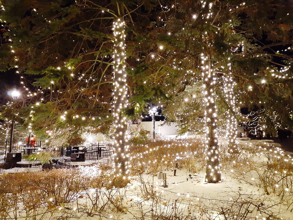Magic of Canada’s Wonderland Winter Festival of Lights AllOntario