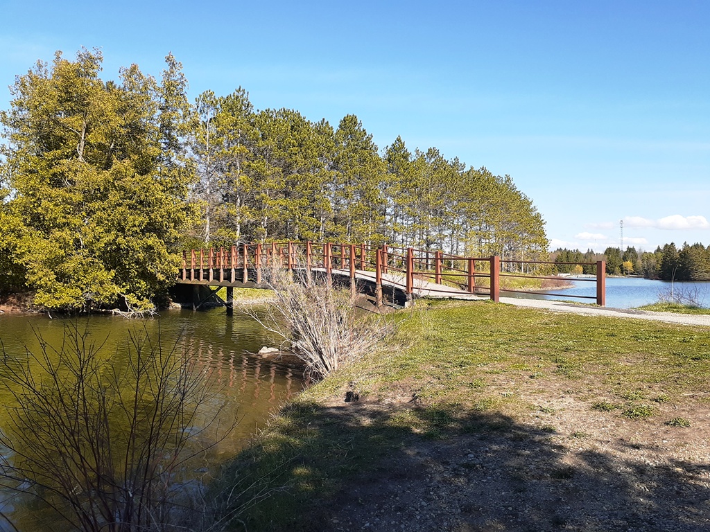 Earl Rowe Park – the First Day Out during Reopening Ontario AllOntario