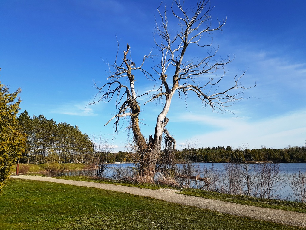 Earl Rowe Park – the First Day Out during Reopening Ontario AllOntario