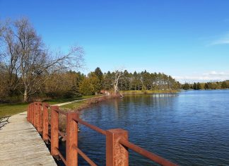 Earl Rowe Park – the First Day Out during Reopening Ontario Earl Rowe Park – the First Day Out during Reopening Ontario