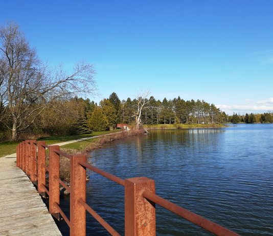 Earl Rowe Park – the First Day Out during Reopening Ontario