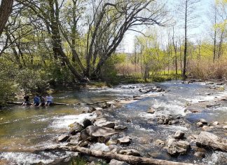 Livingston Park in Milton Livingston Park in Milton
