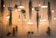 How to Choose the Best Grow Lights How to Choose the Best Grow Lights