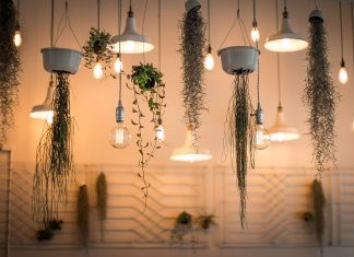 How to Choose the Best Grow Lights How to Choose the Best Grow Lights