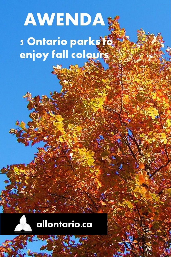 5 Ontario Parks to Enjoy Fall Colours 