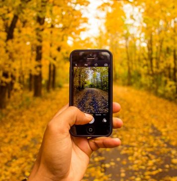 5 Ontario Parks to Enjoy Fall Colours