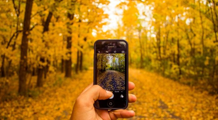 5 Ontario Parks to Enjoy Fall Colours