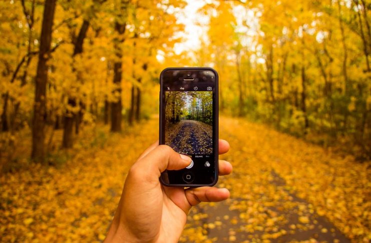 5 Ontario Parks to Enjoy Fall Colours