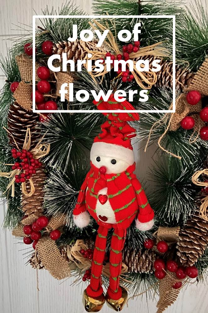 6 Types of Christmas Flowers
