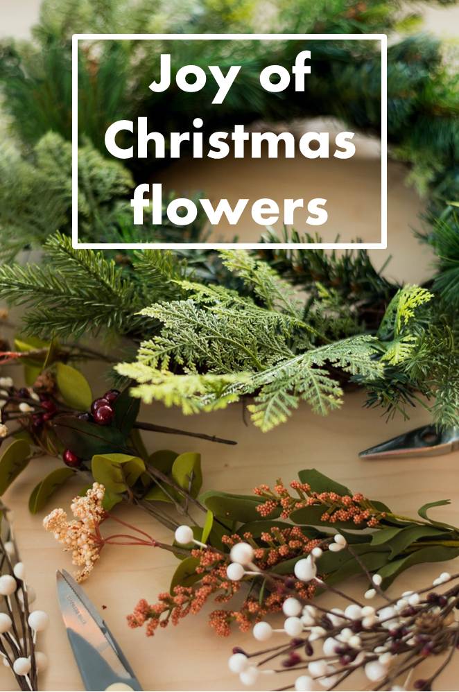 6 Types of Christmas Flowers