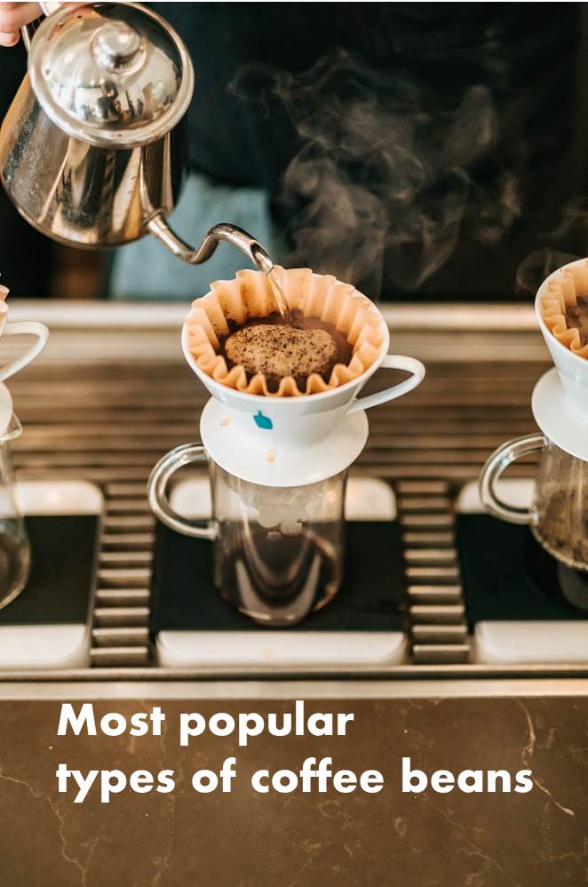Most popular types of coffee beans