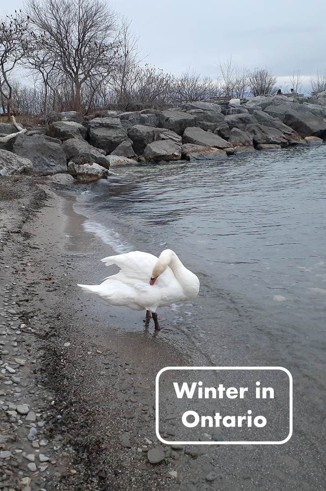 Winter in Ontario