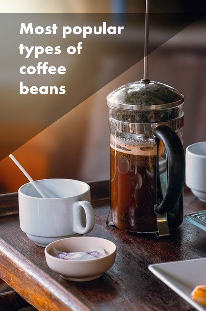 Most popular types of coffee beans