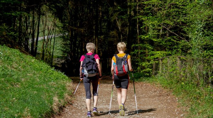 7 Best Hiking Destinations in Ontario