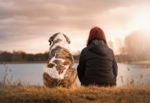 5 Life-lengthening health tips every pet owner should follow