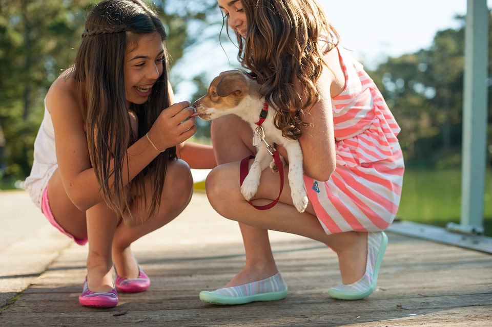 How to choose the perfect first dog for your kids