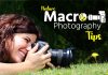 Nature Macro Photography Tips