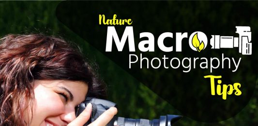 Nature Macro Photography Tips