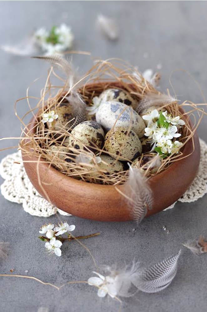 10 surprising facts about quail eggs