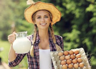What is calcium bioavailability?