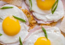 8 Reasons to rehabilitate eggs