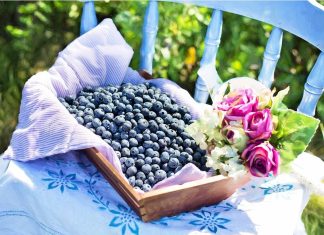 7 Superfoods you shouldn’t go without