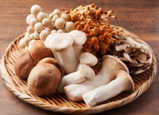 Mushrooms – Japanese superfood